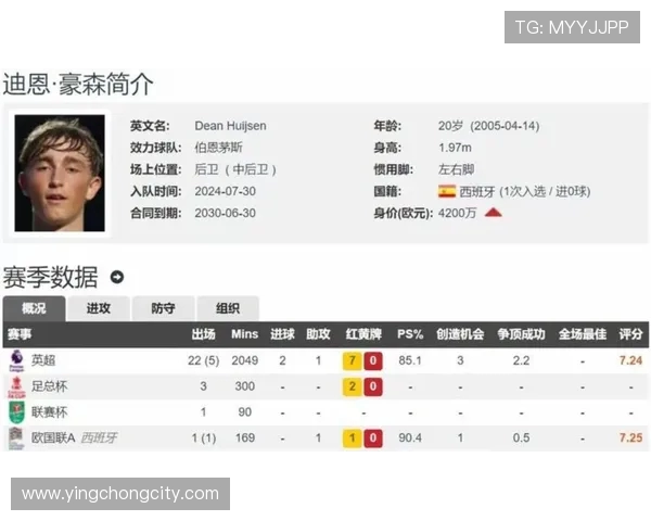 英超20支球队的老板身份背景及俱乐部管理风格分析 英超20支球队的老板身份背景及俱乐部管理风格分析