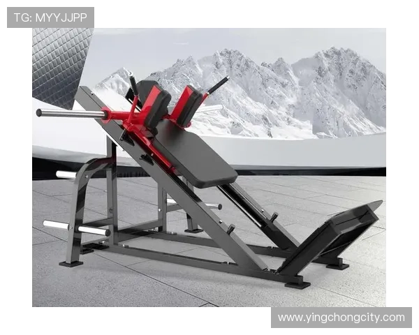 迈宝赫健身器材报价：高端健身器材价格与配置