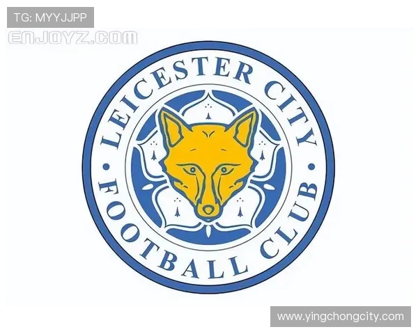 中国资本入股英超球队现状及其对联赛影响的全面分析 中国资本入股英超球队现状及其对联赛影响的全面分析