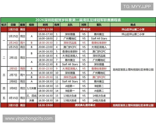 FIFA世界杯官网带你直击全球足球盛宴精彩瞬间权威赛程数据